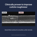 Before and after comparison of cuticle roughness with a blue background